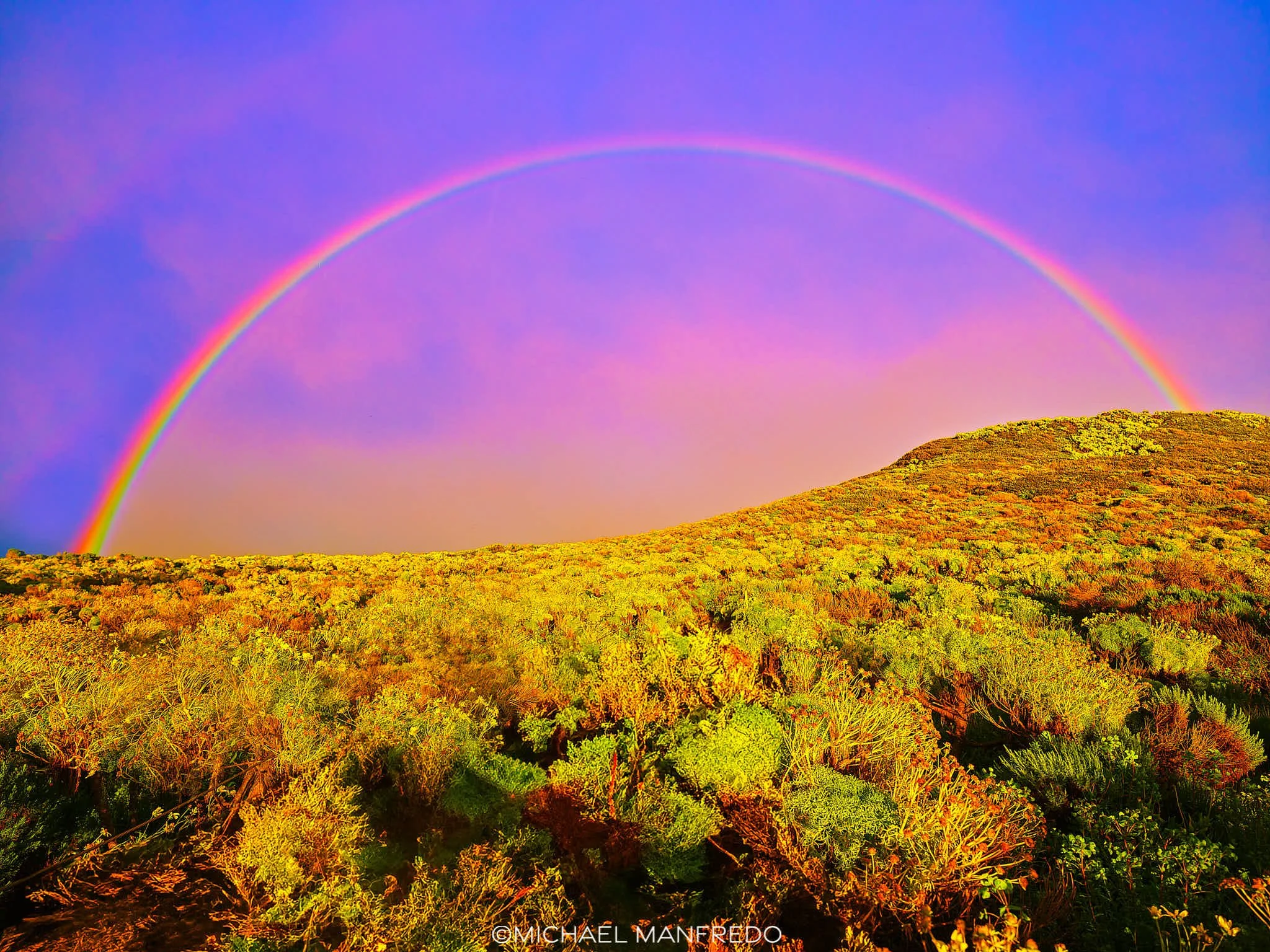 Pot of Gold