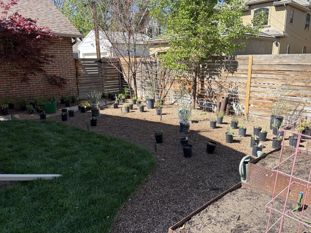 Xeric garden design