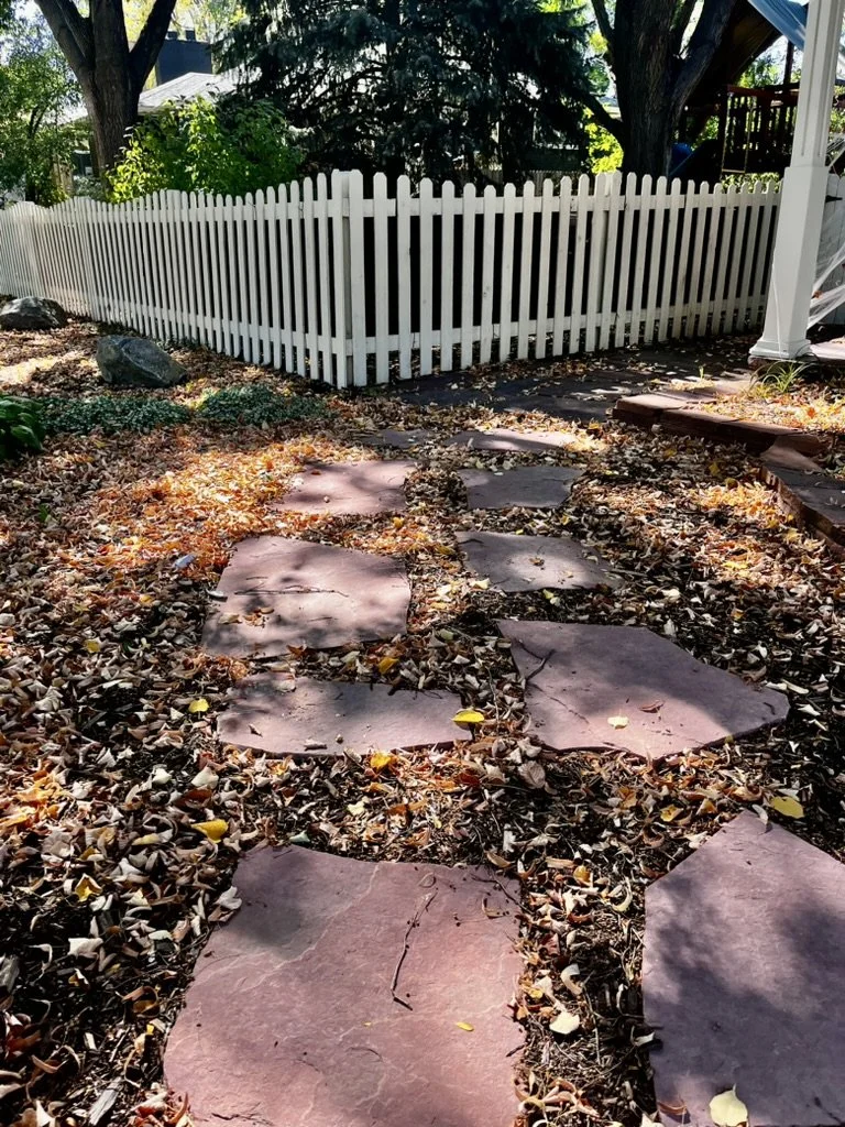 Shade garden makeover