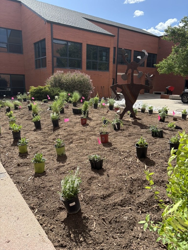 Pollinator garden design