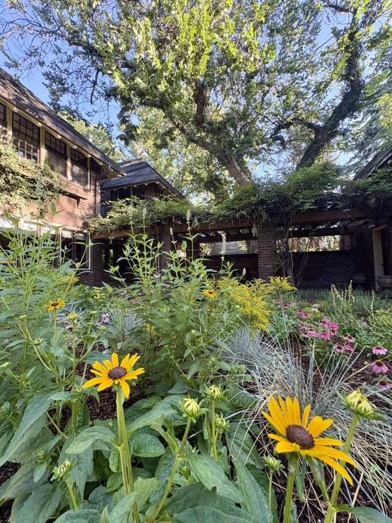 Regenerative urban habitat garden