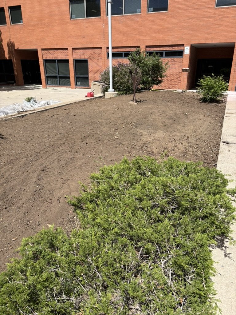 DIY pollinator garden installation