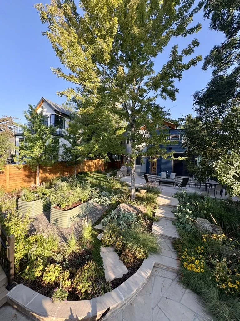 Colorado regenerative garden