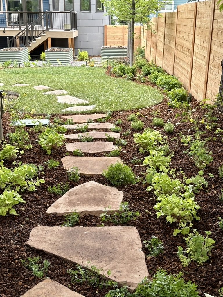 Shade habitat garden