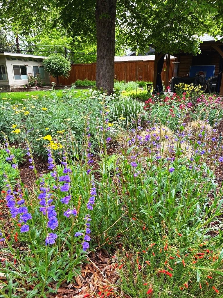 urban pollinator garden