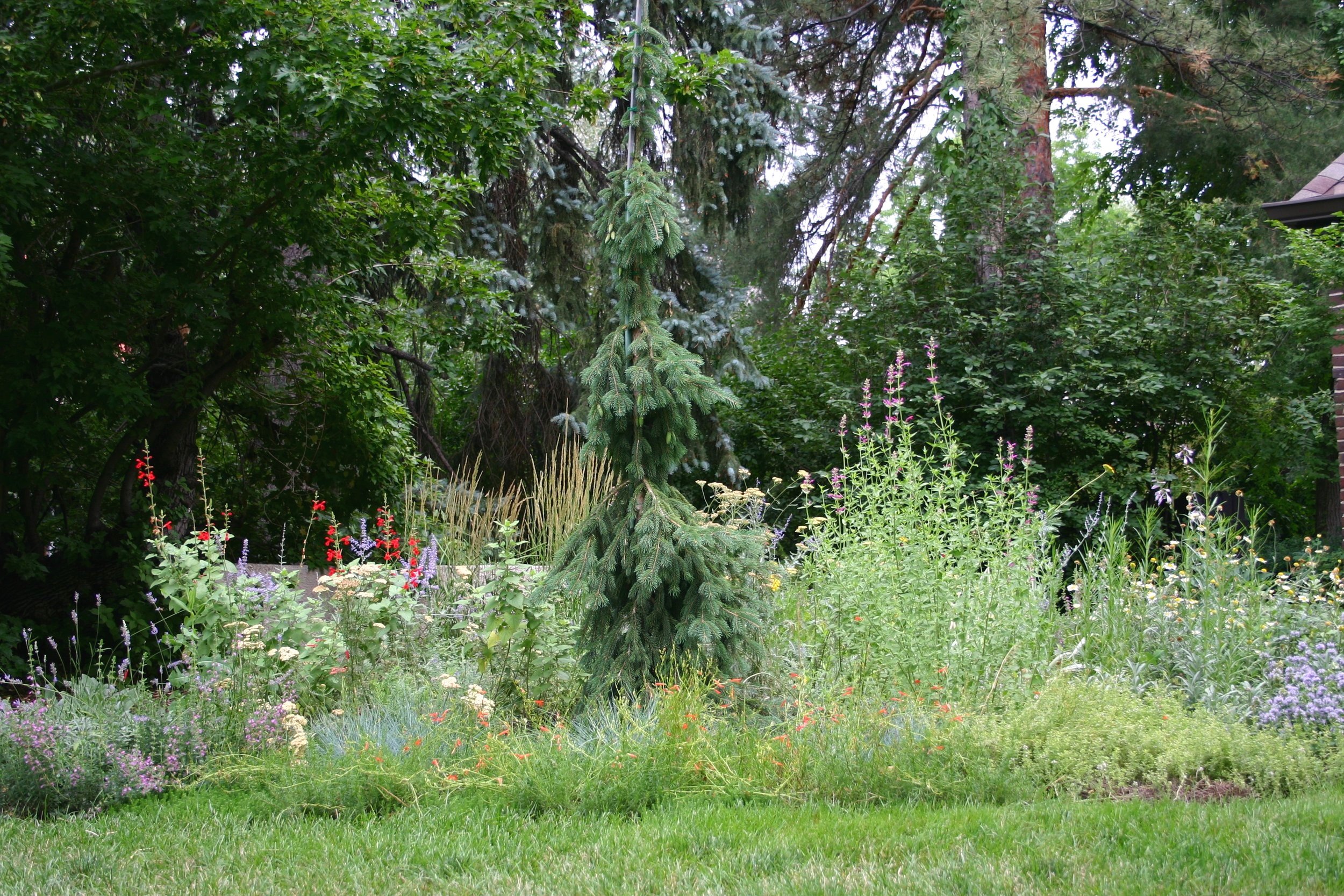 denver regenerative garden