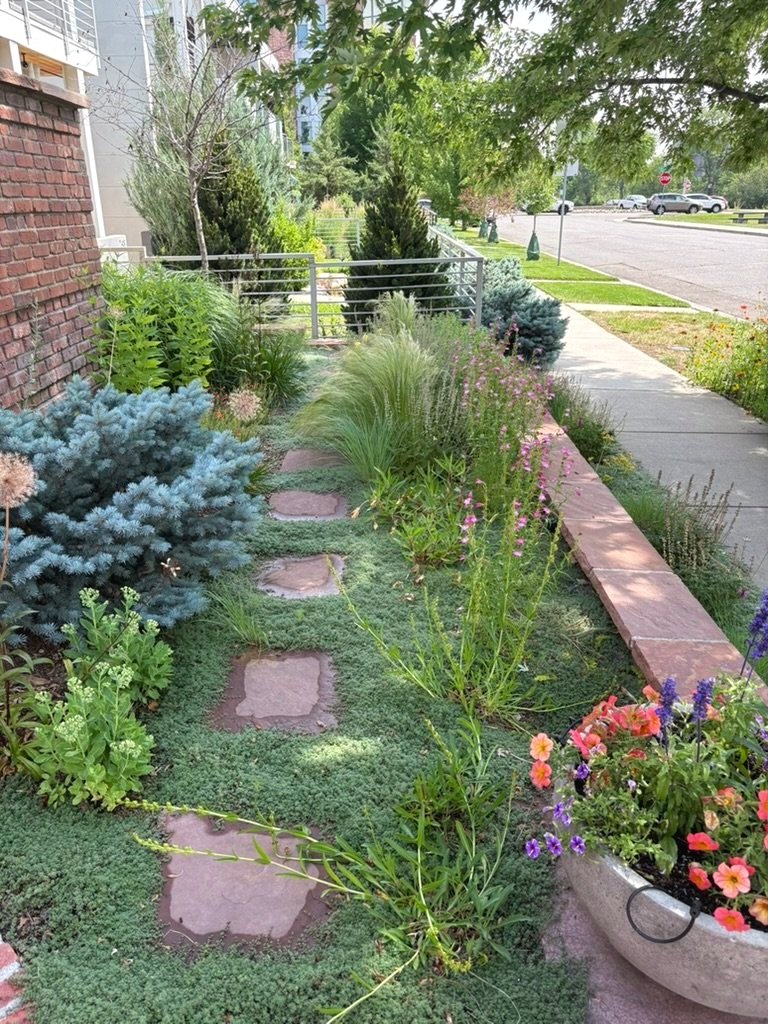 Urban pollinator garden