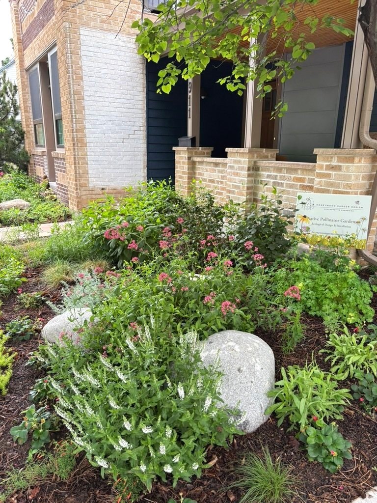Xeric pollinator garden