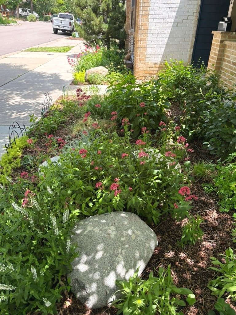 Urban habitat garden