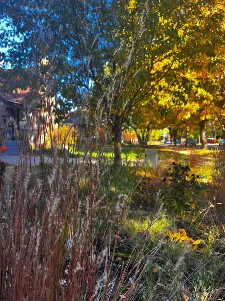 Regenerative habitat garden