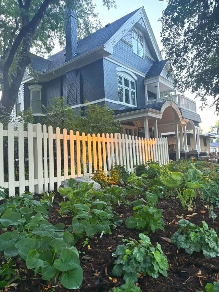 Denver woodland shade garden