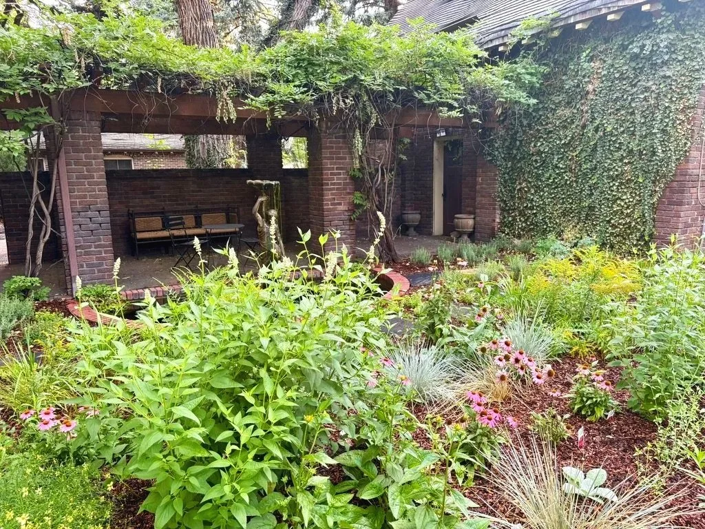 Denver urban habitat garden