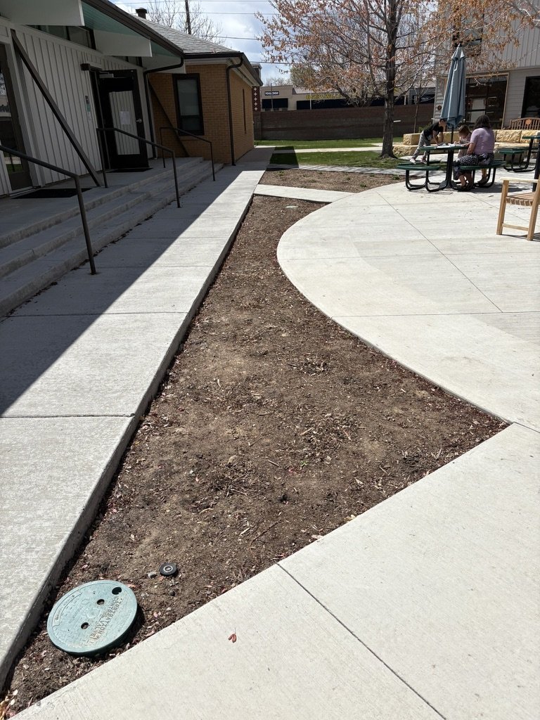 DIY campus pollinator garden