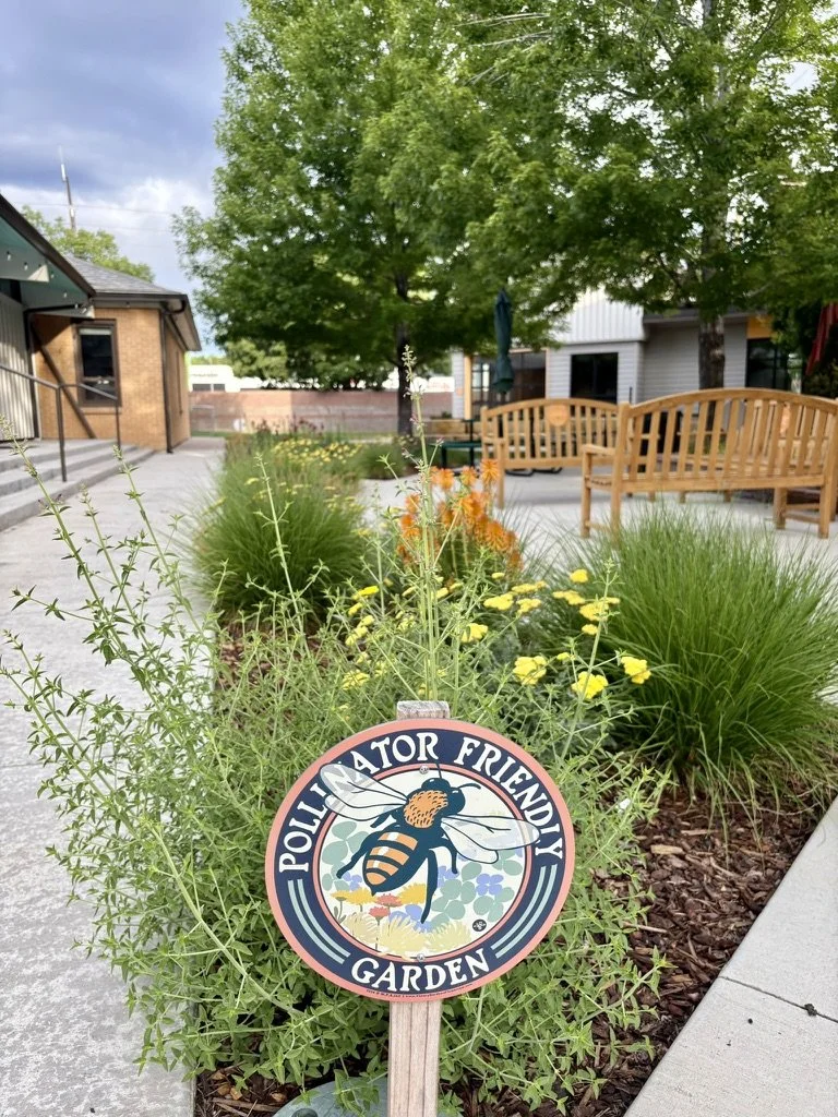 DIY Denver pollinator garden