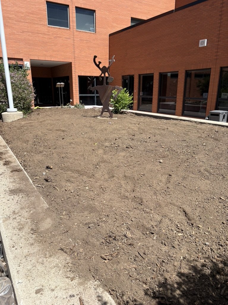 DIY pollinator garden installation