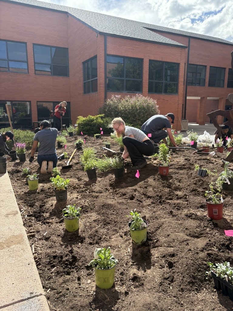 DIY pollinator garden