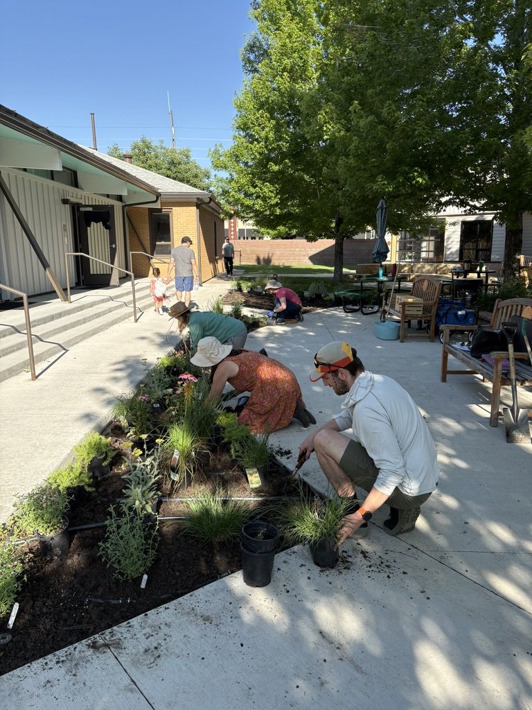 DIY pollinator garden installation