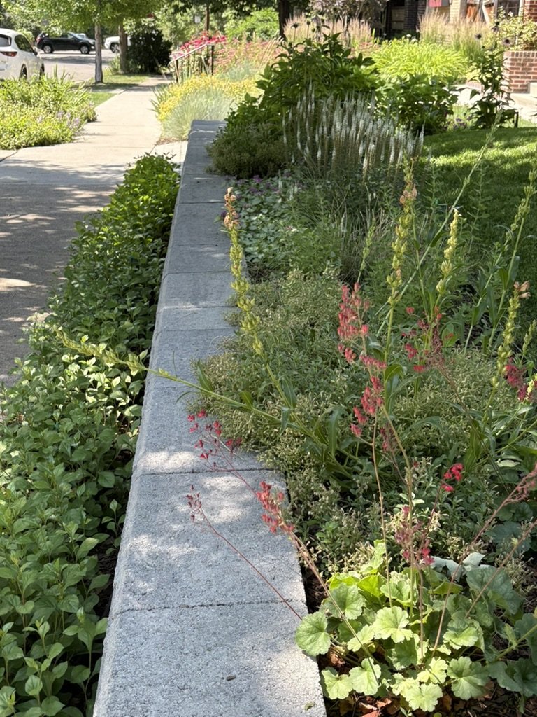 DIY urban pollinator garden