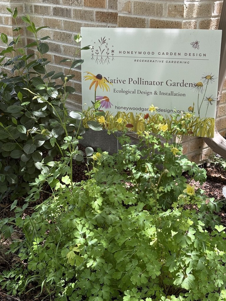 Ecological garden design