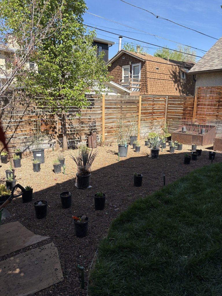 Xeric habitat garden