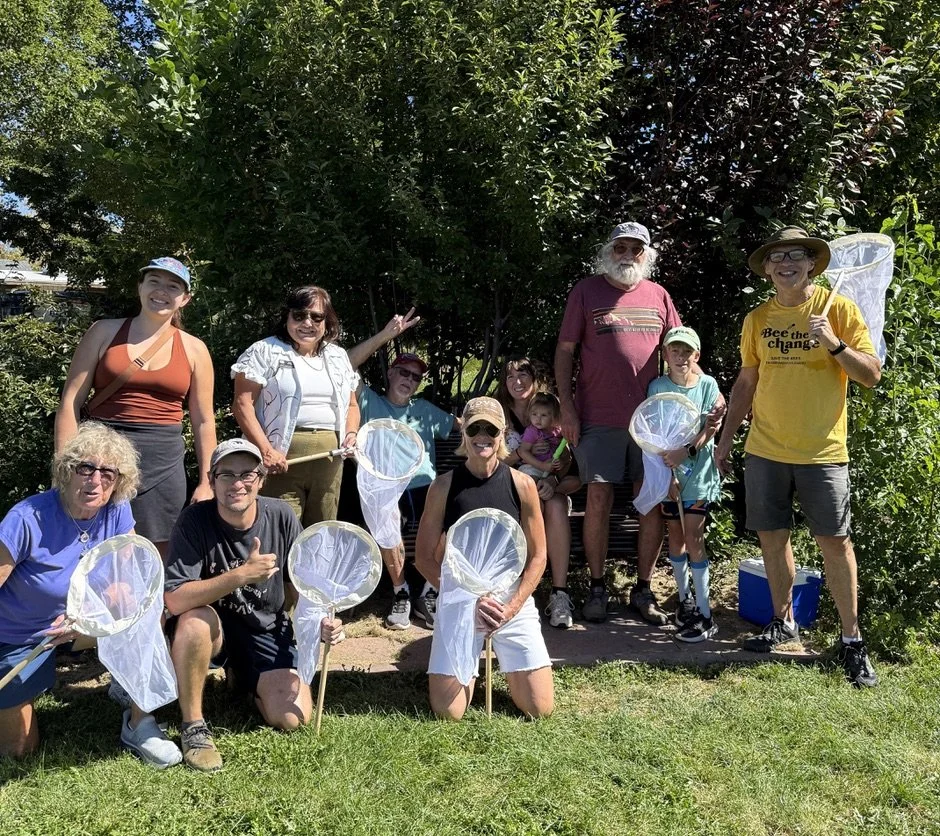 Community bumblebee survey