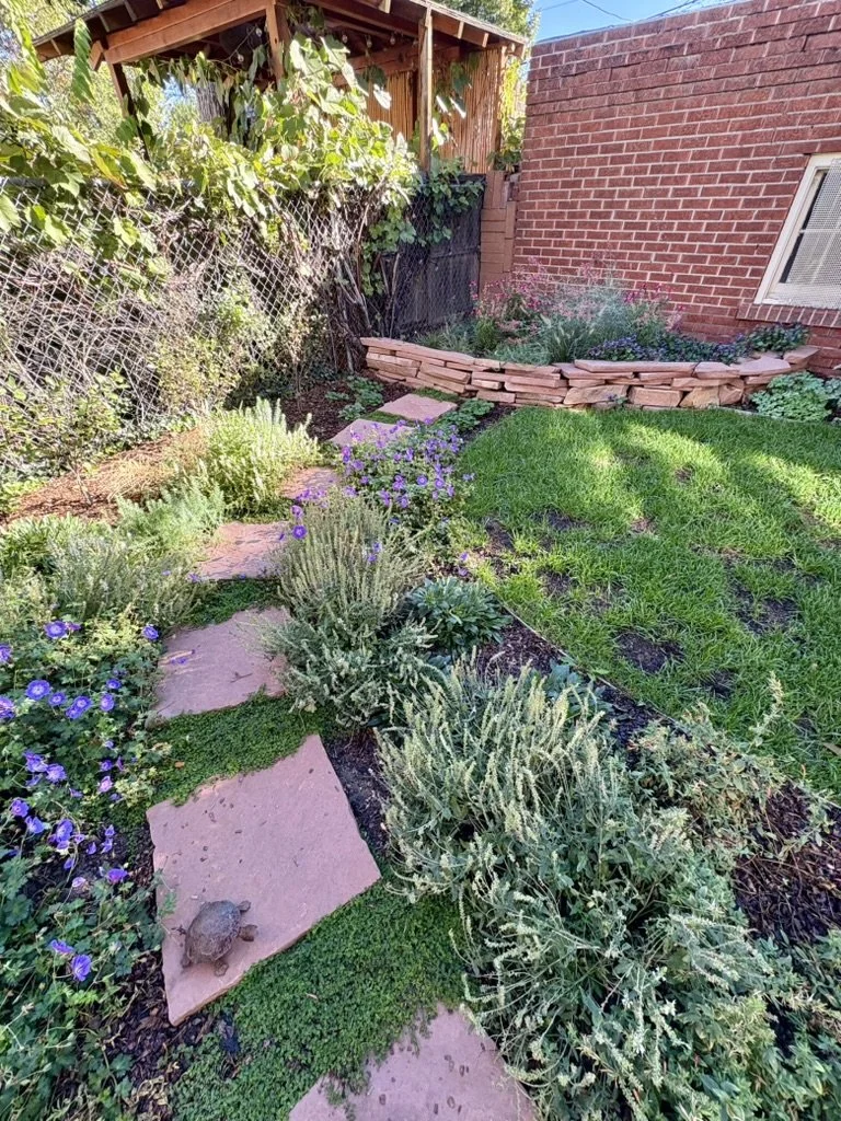 urban native pollinator garden