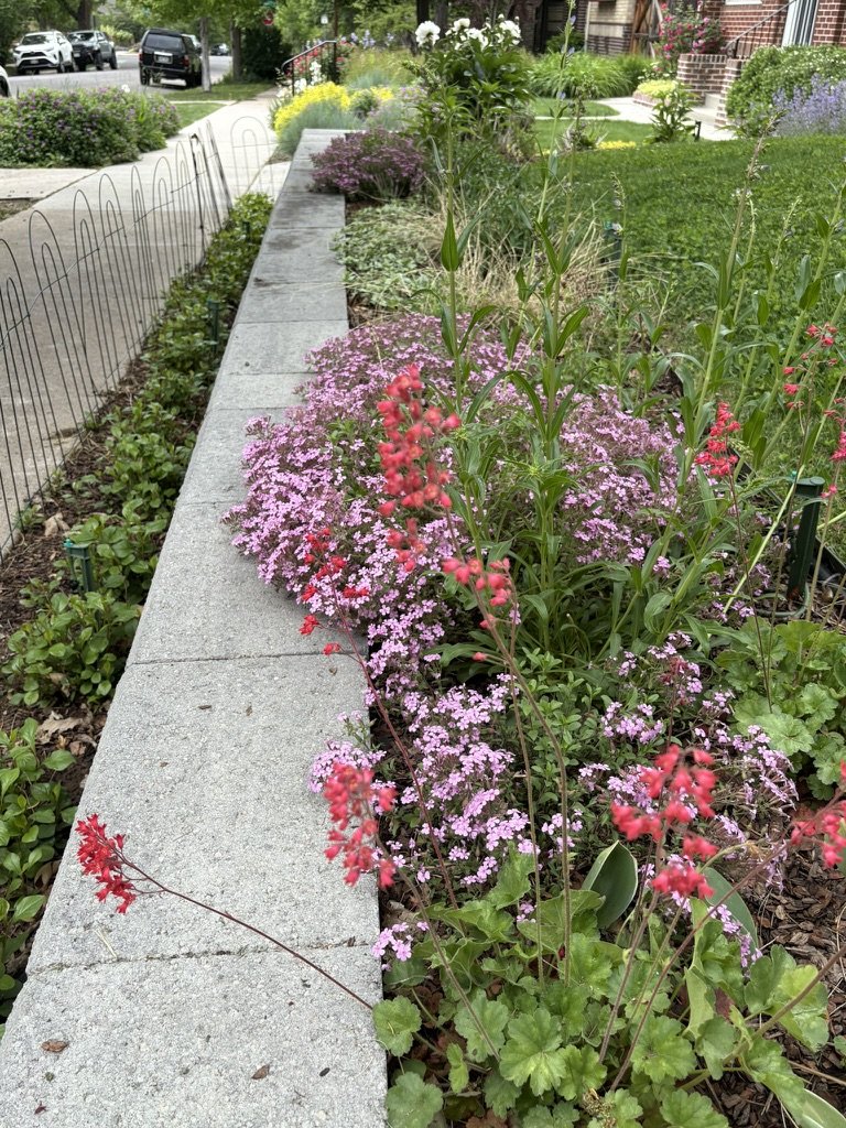 DIY pollinator garden