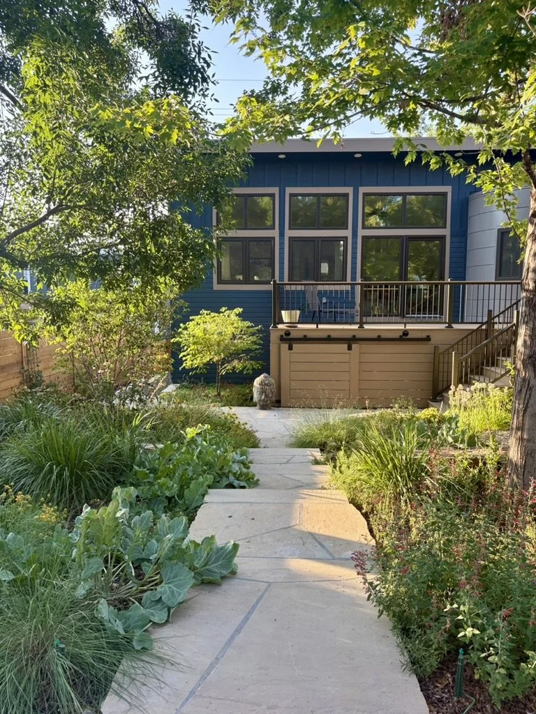 Urban Habitat Garden