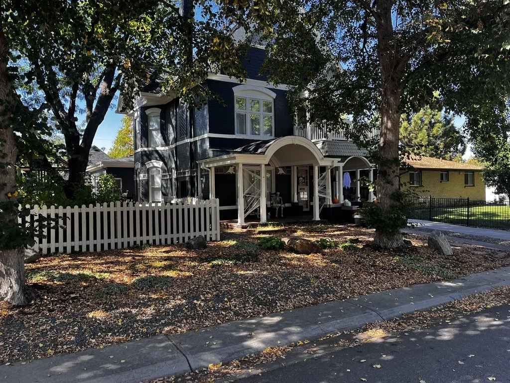 Shade garden makeover
