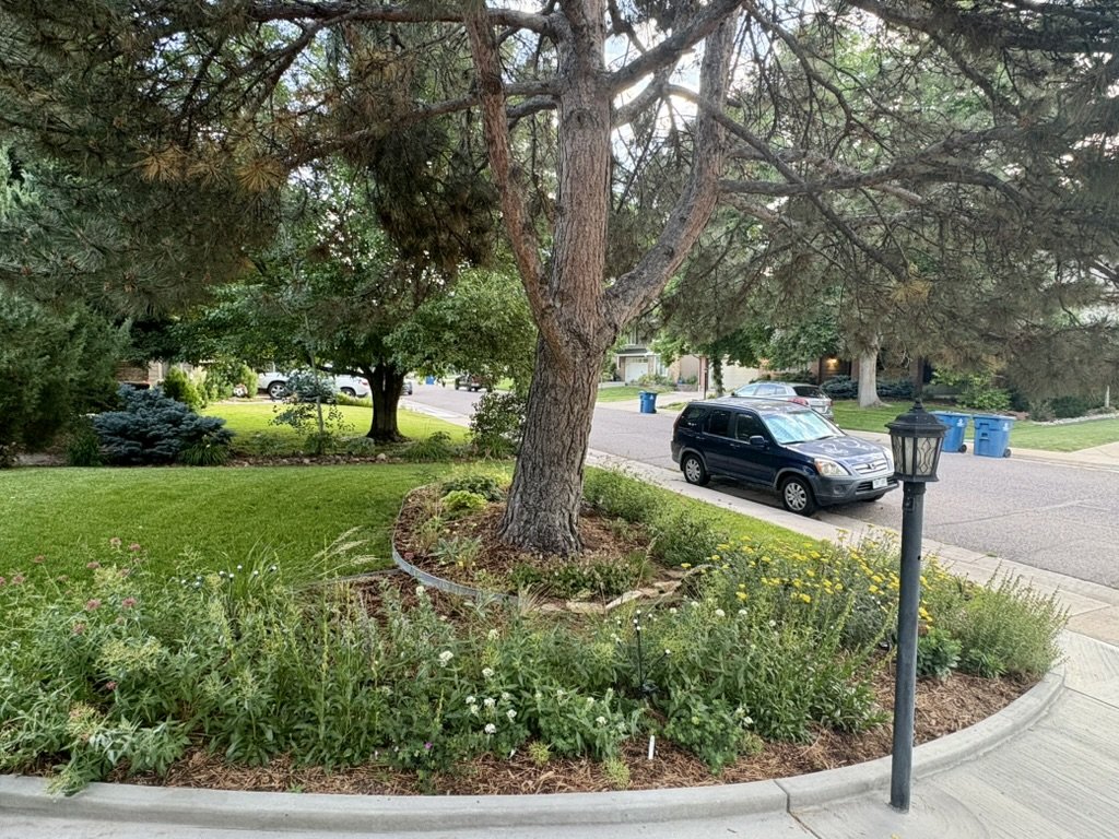 HOA waterwise gardening