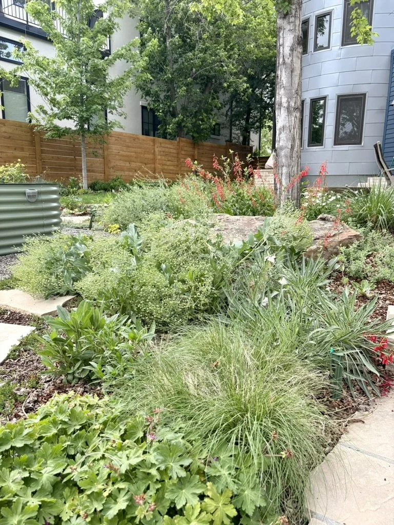 Regenerative gardening