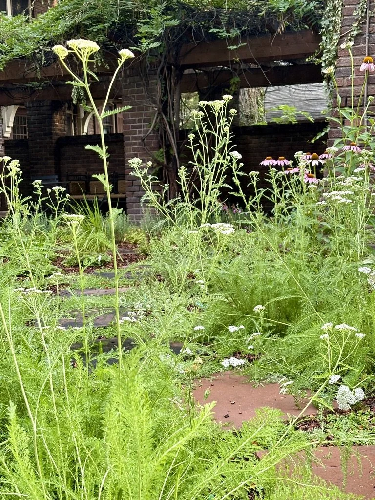 water wise pollinator garden