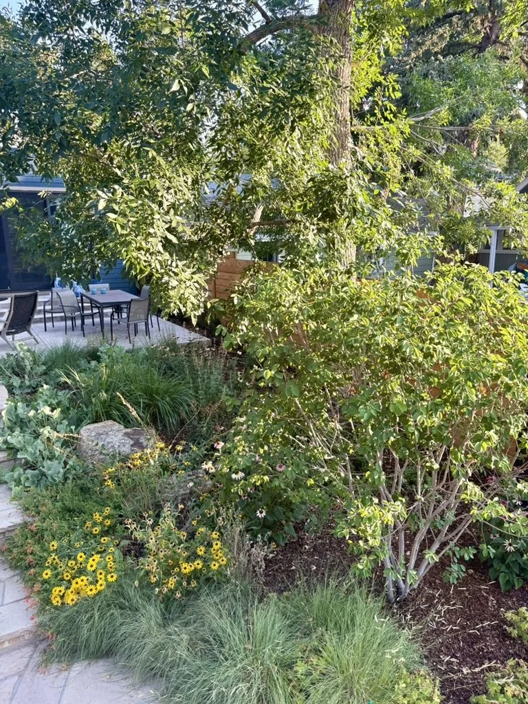 Urban habitat garden