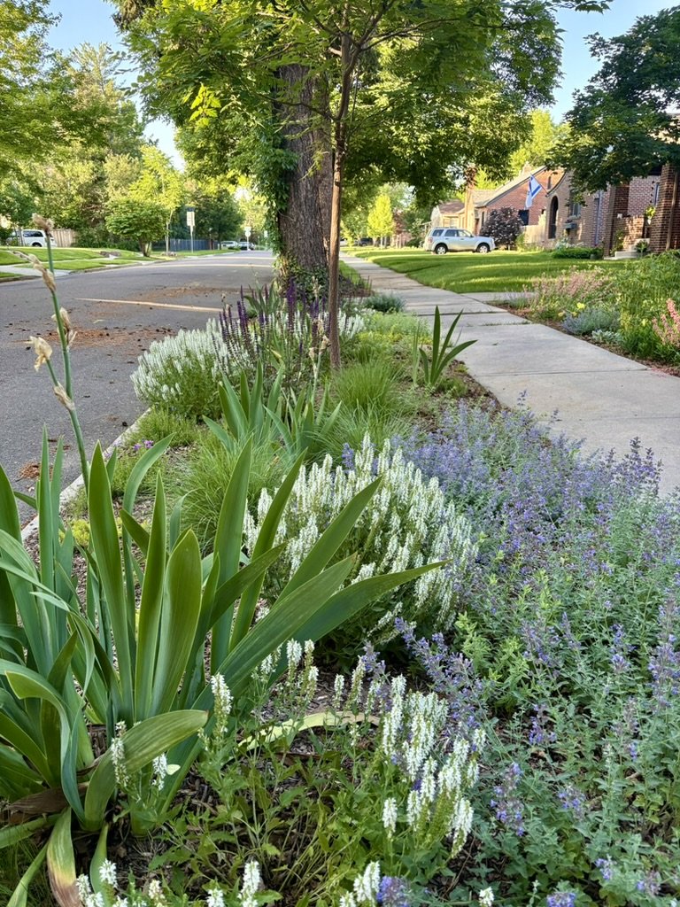 Pollinator hell strip