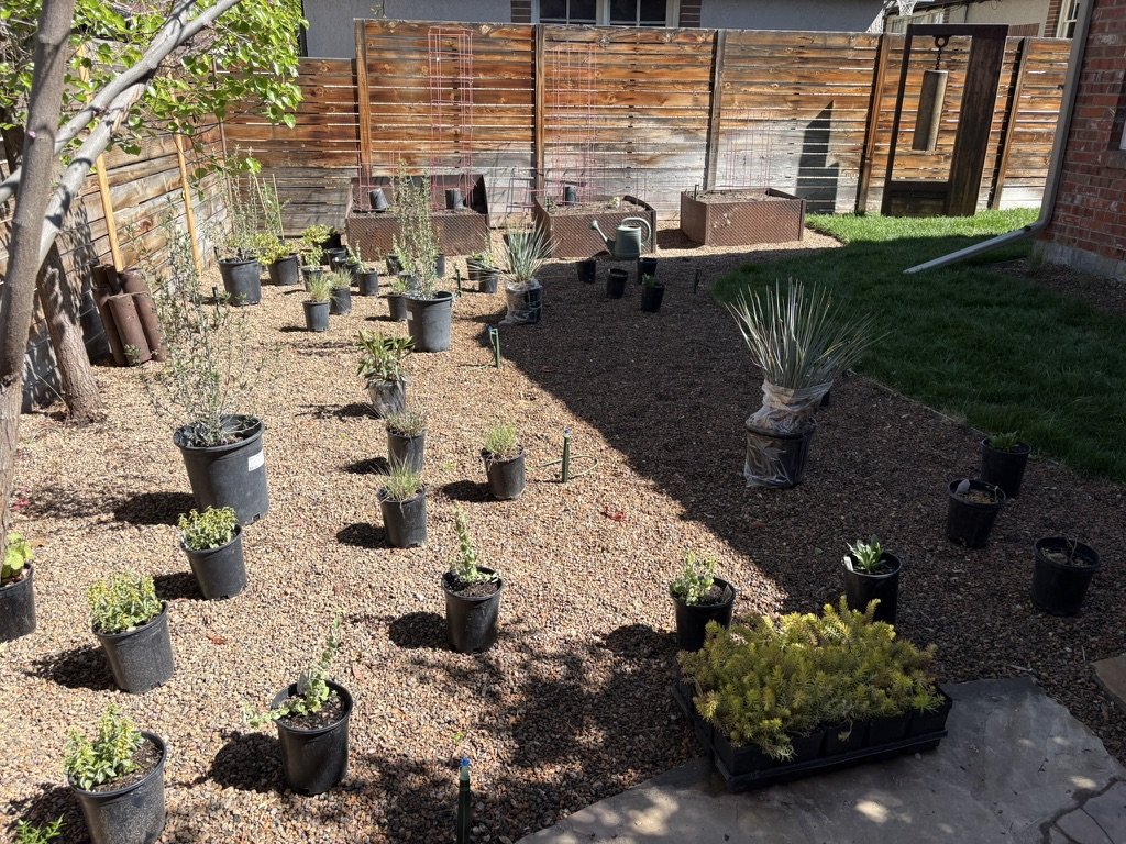 Xeric pollinator garden design