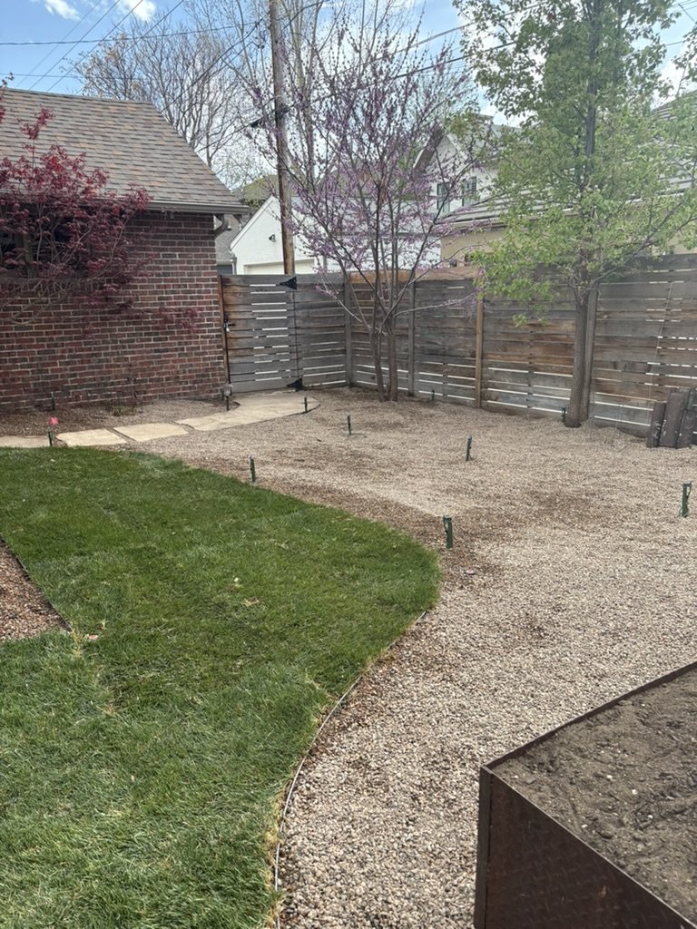 Urban xeric garden installation