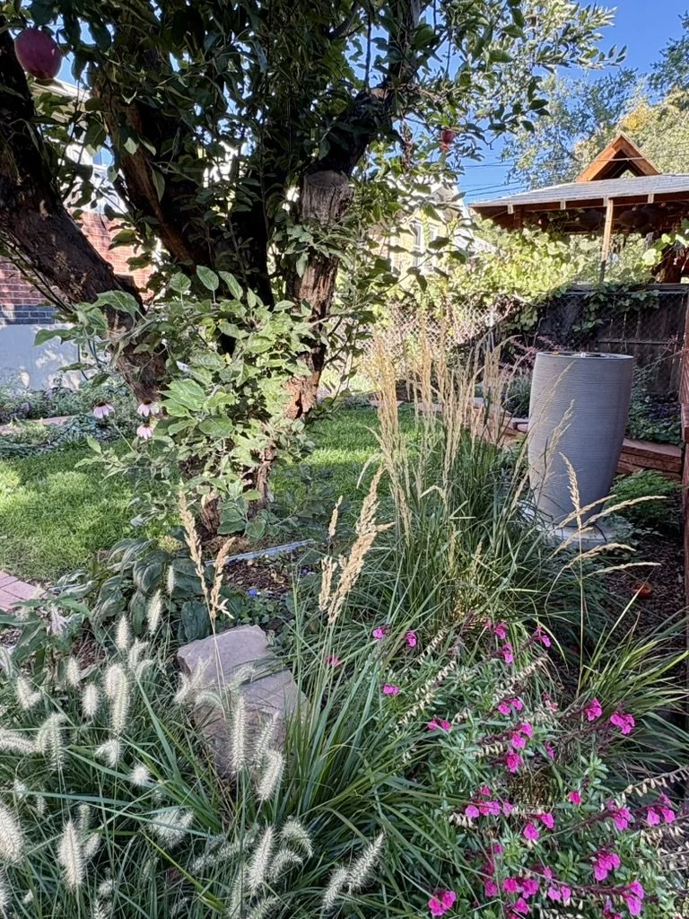 Urban habitat garden