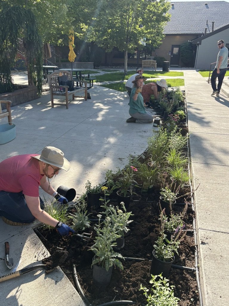 PDIY pollinator garden