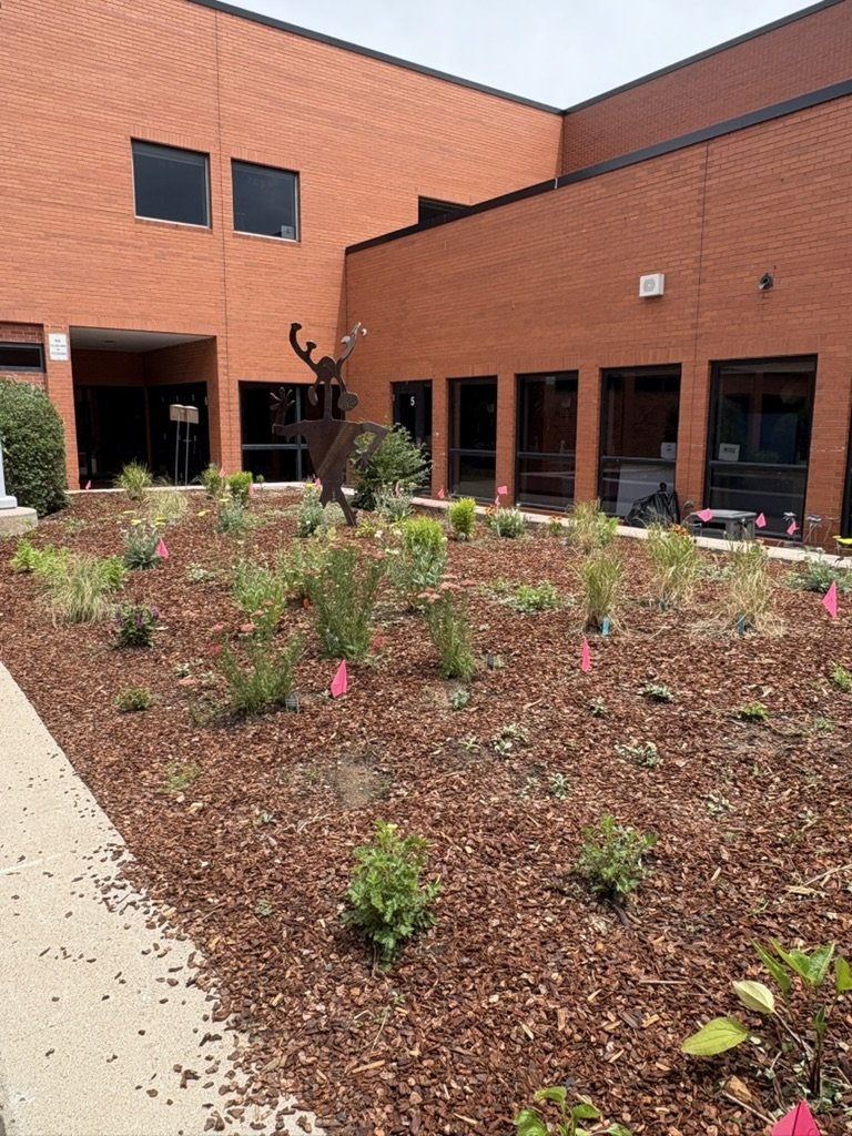 DIY pollinator garden