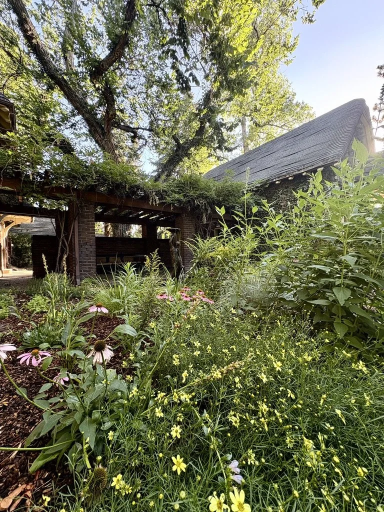 Denver pollinator garden