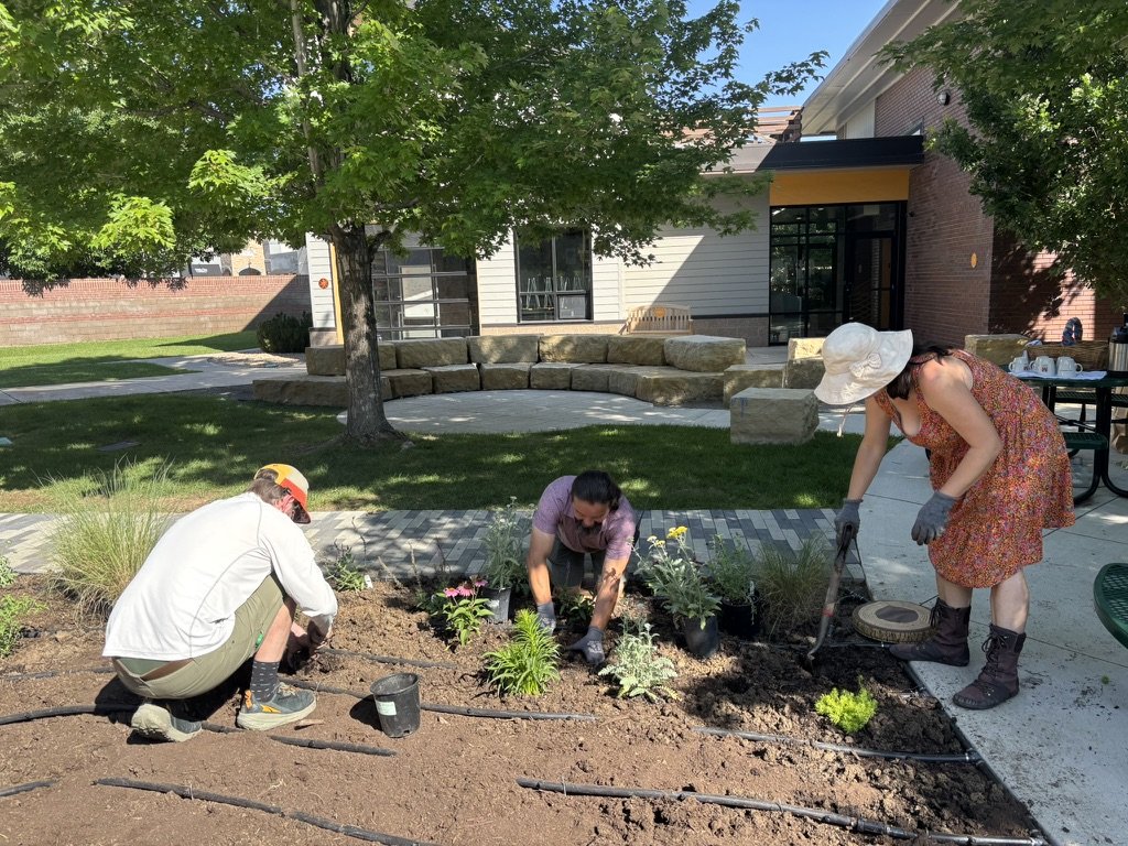 DIY campus pollinator garden