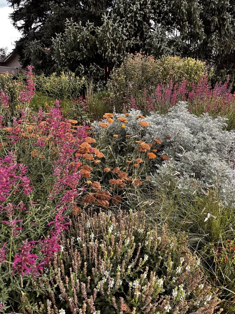Regenerative habitat garden