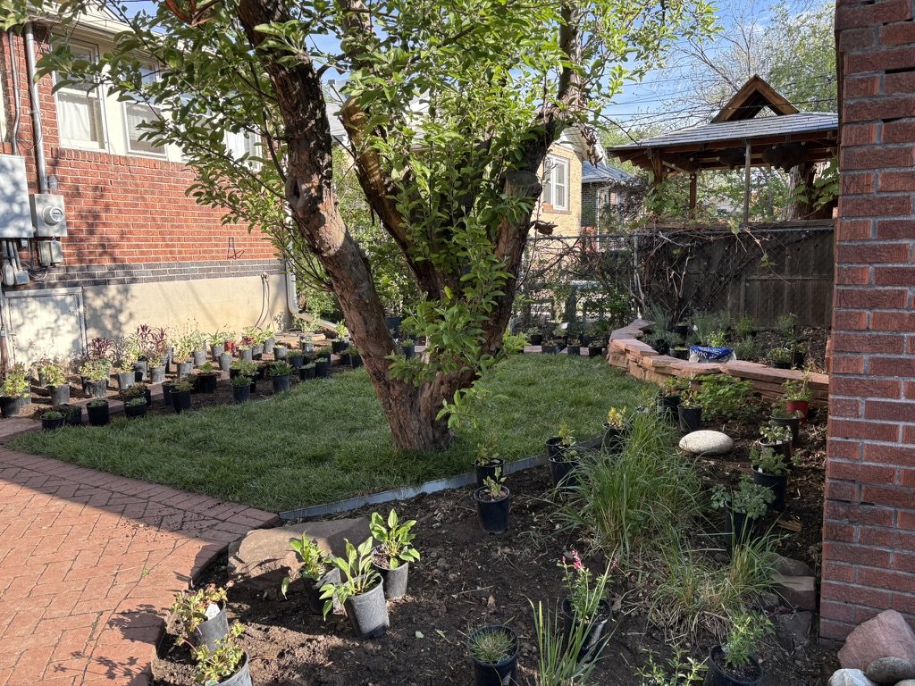 Native pollinator garden