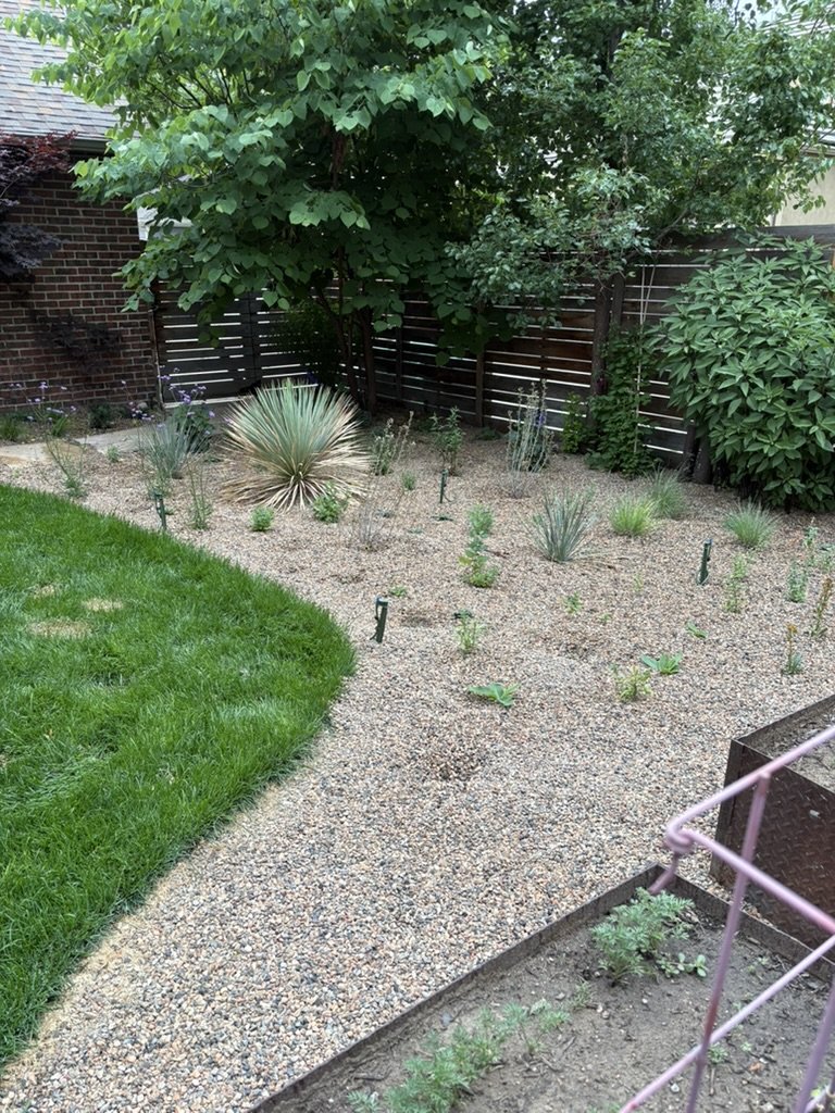 Xeric pollinator garden