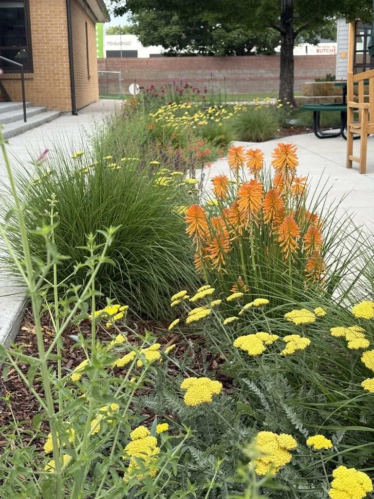 School pollinator gardens