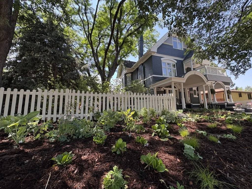 Water wise woodland shade garden