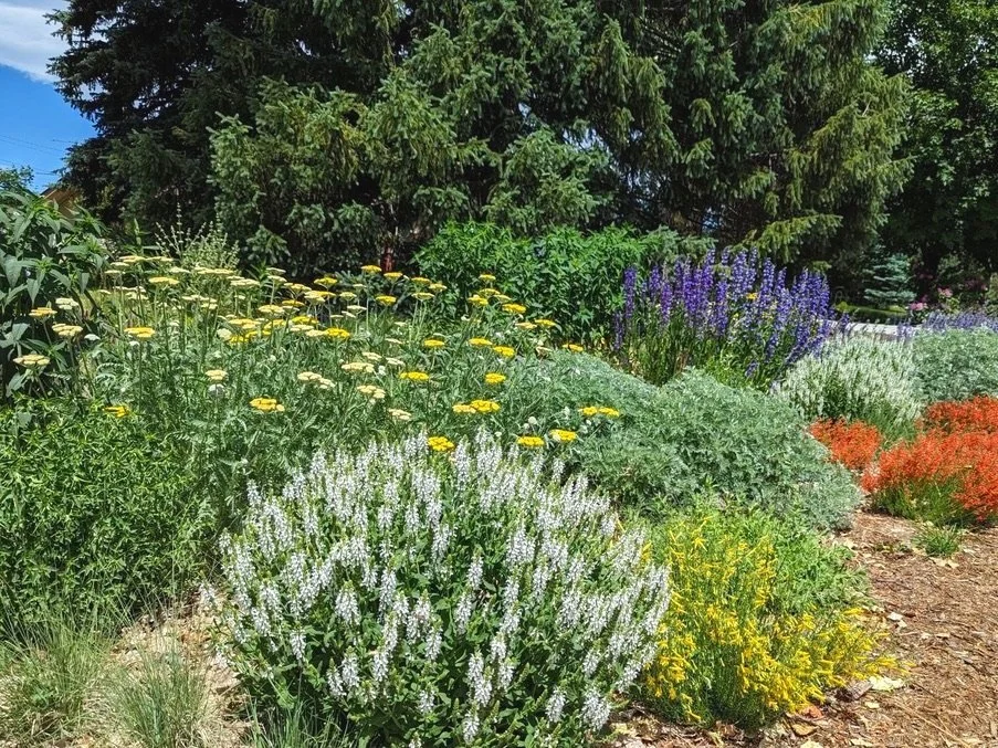 Water wise pollinator garden