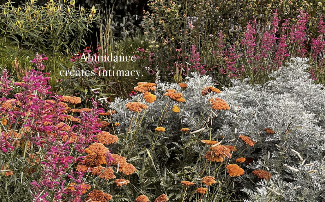 Native pollinator garden