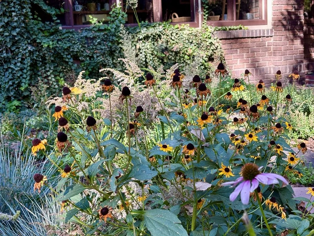 Washington Park Pollinator Corridor Garden