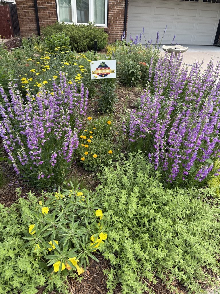 HOA pollinator garden